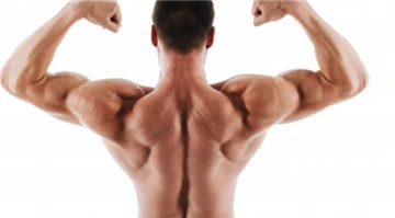 מהו מחצית החיים של Tren Enanthate?